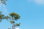 BÁN BIỆT THỰ MẶT TIỀN TRẦN VĂN KIỂU - DT 3500M² - 6 TẦNG - FULL NỘI THẤT TÂY Á - 300 TỶ