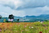 600 TRIỆU / LÔ ĐẤT VIEW SIÊU ĐẸP TẠI LỘC BẮC