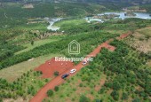 550 TRIỆU CHO LÔ ĐẤT 1000M2 TẠI LỘC BẮC LÂM ĐỒNG