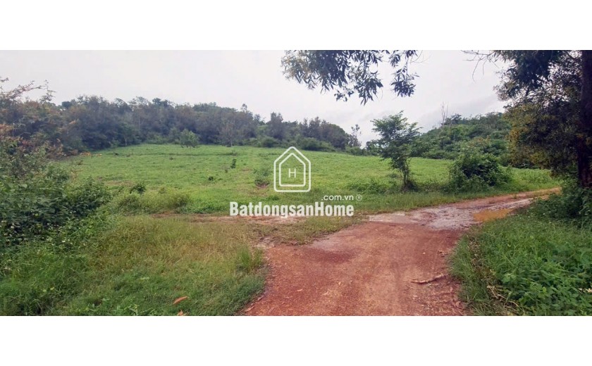 500 ha đất thuê còn 30 năm kề Tỉnh lộ 690, giáp đập Thủy lợi - Huyện Krông Ana - Đăk Lăk, giá chỉ 25 tỷ