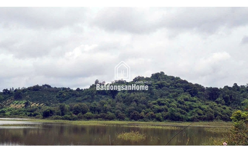 500 ha đất thuê còn 30 năm kề Tỉnh lộ 690, giáp đập Thủy lợi - Huyện Krông Ana - Đăk Lăk, giá chỉ 25 tỷ