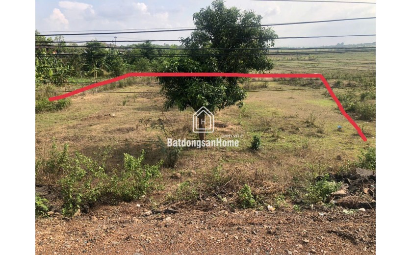 Đất 400 m2 thổ cư, 17m Mặt tiền Tỉnh lộ 1 - Huyện Buôn Đôn - Đăk Lăk, giá chỉ 170 tr/m