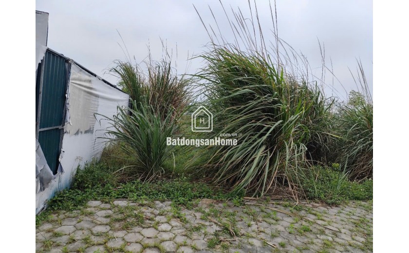 Cơ hội đầu tư hấp dẫn: 1,4 sào đất (540m²) giá chỉ hơn 1 tỷ