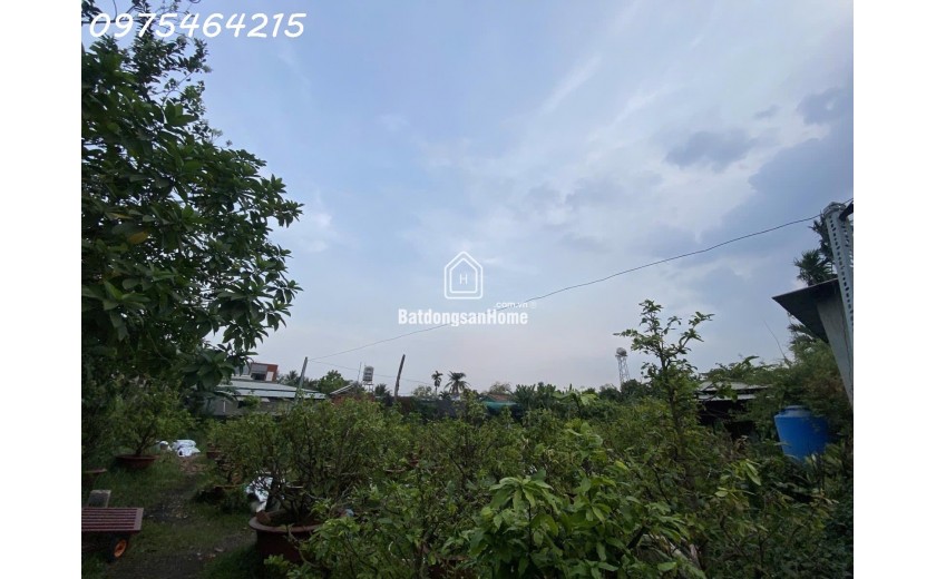 LÔ ĐẤT KHỦNG 8.400M² – NGANG 70M, DÀI 120M – PHƯỜNG TAM PHÚ, THỦ ĐỨC