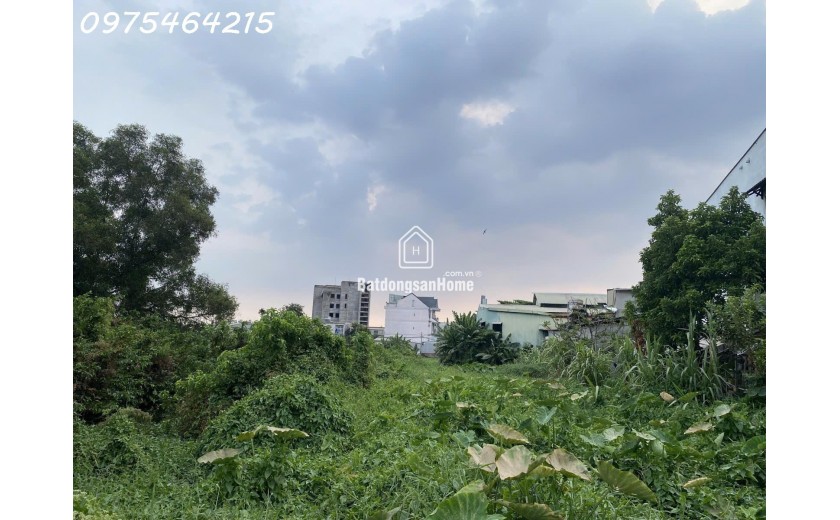 LÔ ĐẤT KHỦNG 8.400M² – NGANG 70M, DÀI 120M – PHƯỜNG TAM PHÚ, THỦ ĐỨC