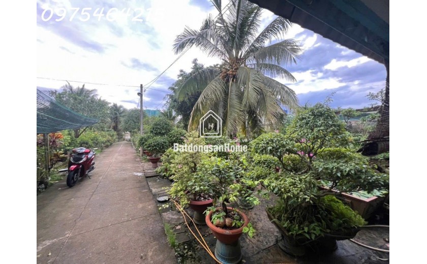 Bán đất khu dân cư Phước Thiện, Thủ Đức – Cơ hội đầu tư sinh lời cực cao