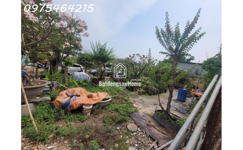 Bán đất 1173m² vuông vức – Hẻm xe tải quay đầu – Đường số 11, Linh Trung, Thủ Đức