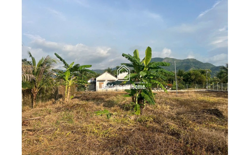Suối hiệp _ Diên Khánh

Chính chủ cần bán nhanh Diện tích 956 có 120m thổ . 

Lô góc 2 mặt tiền bao đẹp. Đường 2 xe ô tô né nhau thông tứ hướng Vị trí tiềm năng