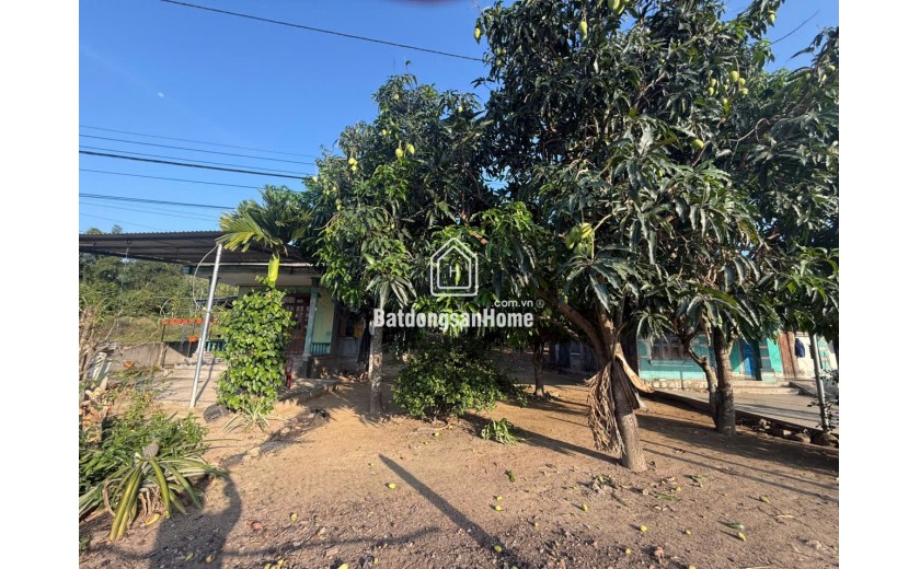 Chủ cần tiền nên bán nhanh 
Hội Xương suối hiệp Diên Khánh Khánh Hòa
Diện tích 649 m có 70m thổ . Ngang 9m bao đẹp