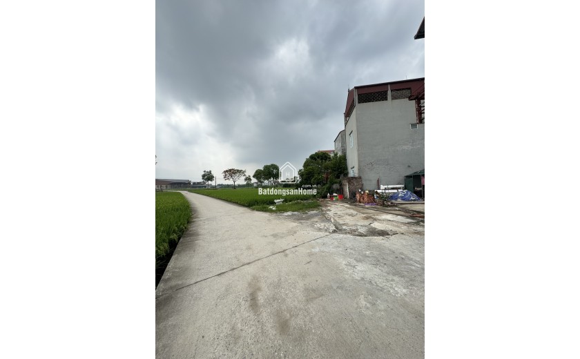 BÁN LÔ 50M , MT5.4M-MAI LÂM ĐÔNG ANH - NGAY BÌA LÀNG -VIEW EUROWINDOW - GIÁ 120TR/1M2