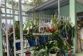 LÔ GÓC Lê Hữu Trác, gần biển Mỹ Khê, dt cực rộng 270m2, ngang 11m, chỉ 16.5 tỷ