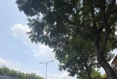 Mặt Tiền Kinh Doanh Đỉnh Cao Đường Lê Văn Việt – Thu Nhập Thụ Động 1.2 Tỷ/Năm – Chỉ 58 Tỷ 
