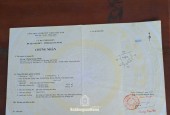 Bán Đất trồng cây lâu năm 454M2 Mộ Đức Quảng Ngãi Giá Bán 190 Triệu
