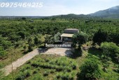 BÁN GẤP 1500m² ĐẤT ĐẸP – ĐƯỜNG ĐINH CÔNG TRÁNG, XÃ LỘC CHÂU, TP. BẢO LỘC – GIÁ CHỈ 1 TỶ 650 TRIỆU!