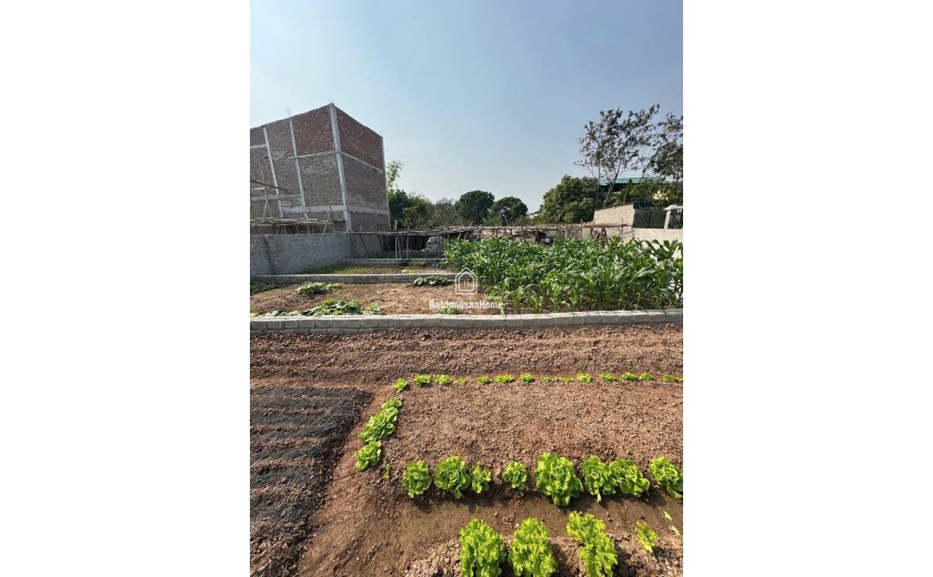 BÁN ĐẤT CHƯƠNG DƯƠNG – THƯỜNG TÍN – 50M² NỞ HẬU, Ô TÔ ĐỖ CỬA, GIÁ CHỈ 1 TỶ 480tr