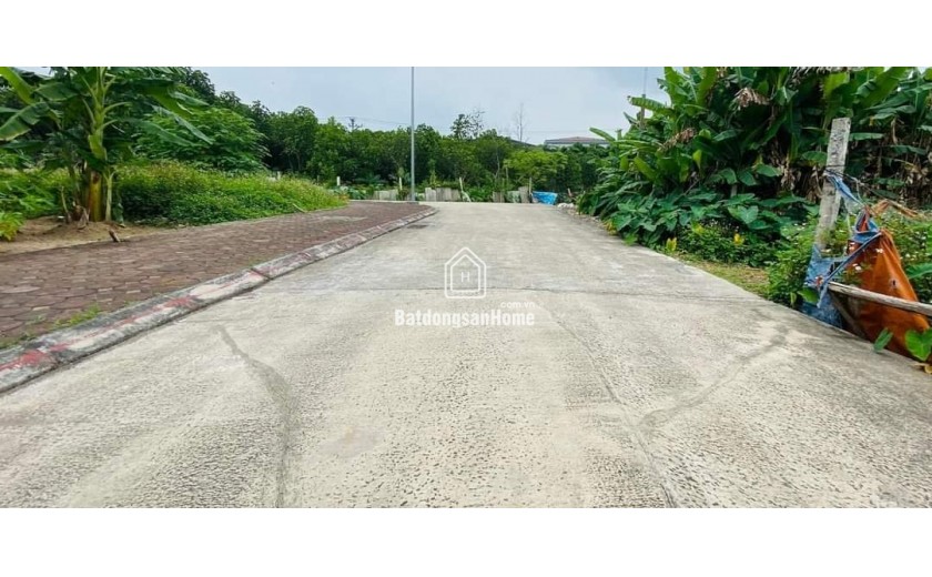 Bán đất đấu giá X1 Việt Hùng Đông Anh Hà Nội