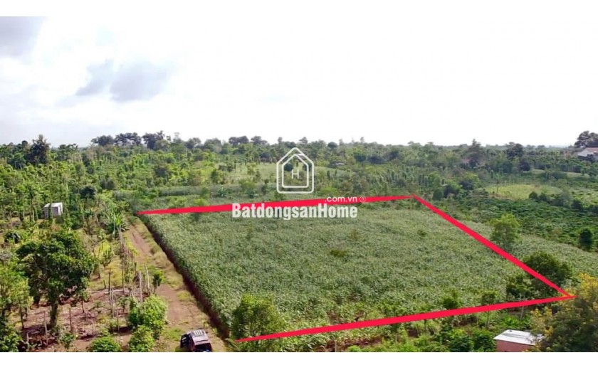 Bán 3.000m2 cạnh đường 29 thị xã Buôn Hồ. Giá; 900tr. Lh 0918.76.9977
