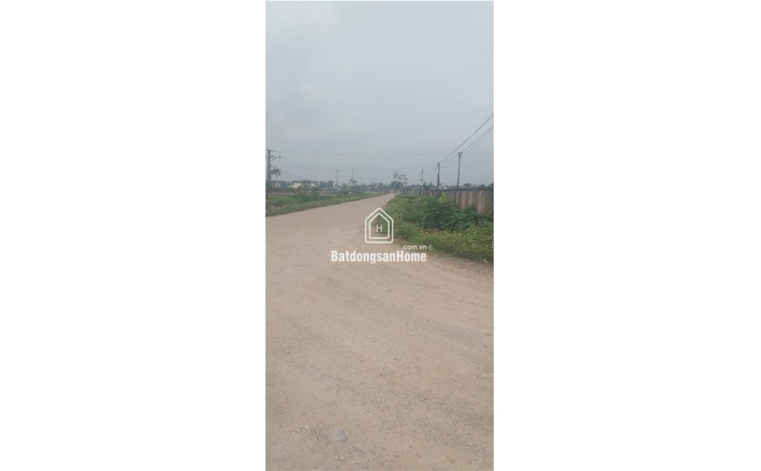 Bán 50ha đất kho nhà xưởng 50 năm tại Huyện Triệu Sơn, Tỉnh Thanh Hóa