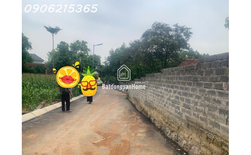 Em cần bán lô đất 90m2 tại Nam Phương Tiến, Chương Mỹ, nhỉnh 1 tỷ
