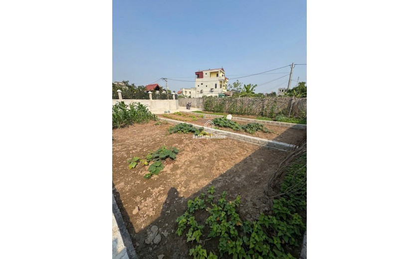 BÁN ĐẤT CHƯƠNG DƯƠNG – THƯỜNG TÍN – 50M² NỞ HẬU, Ô TÔ ĐỖ CỬA, GIÁ CHỈ 1 TỶ 480tr