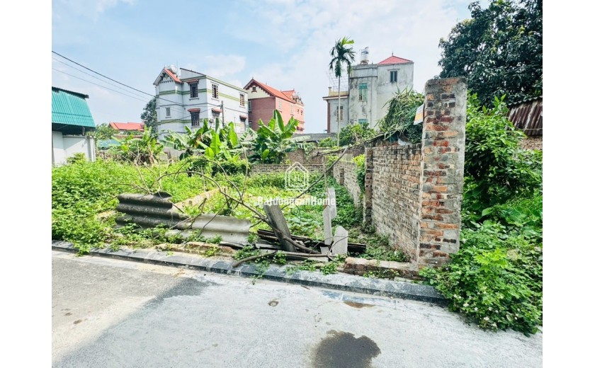 SIÊU HIẾM CỔ MIẾU -THỤY LÂM- Ô TÔ NGỦ TRONG ĐẤT.GIÁ CHỈ 3 TỶ
