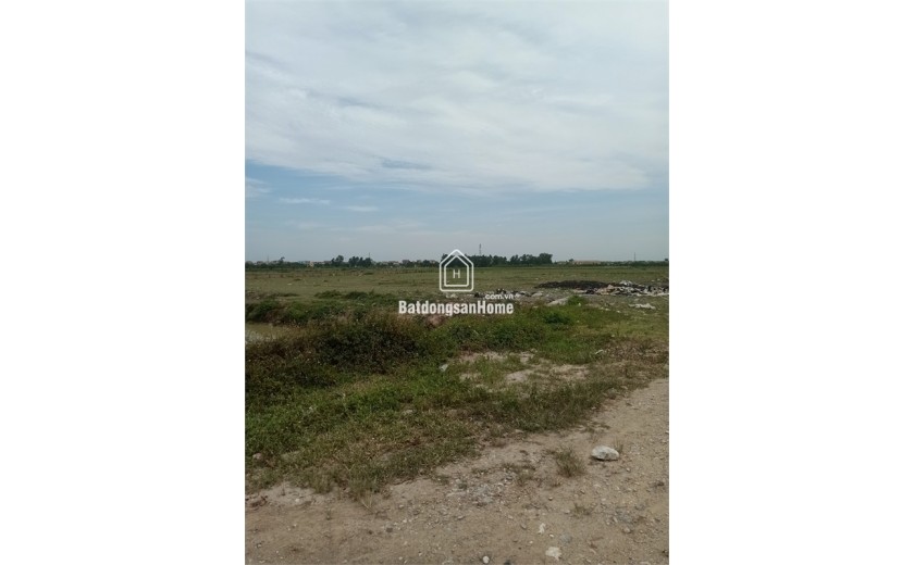 Bán 50ha đất kho nhà xưởng 50 năm tại Huyện Triệu Sơn, Tỉnh Thanh Hóa