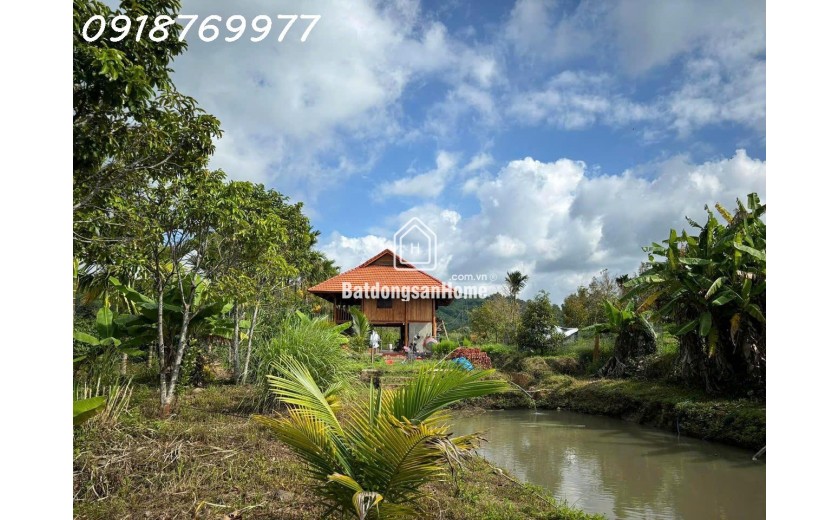 Chỉ với 3,9tỷ có 10.000m2 đất vườn Sầu riêng thu 500tr/năm. Nhà sàn cực đẹp, view VIP.