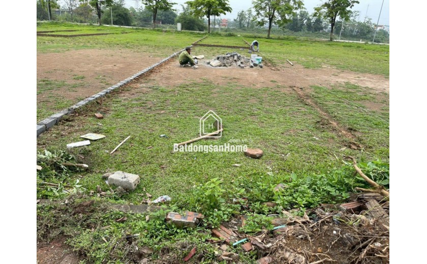 103m đấu giá khoang bèo xuân  mai