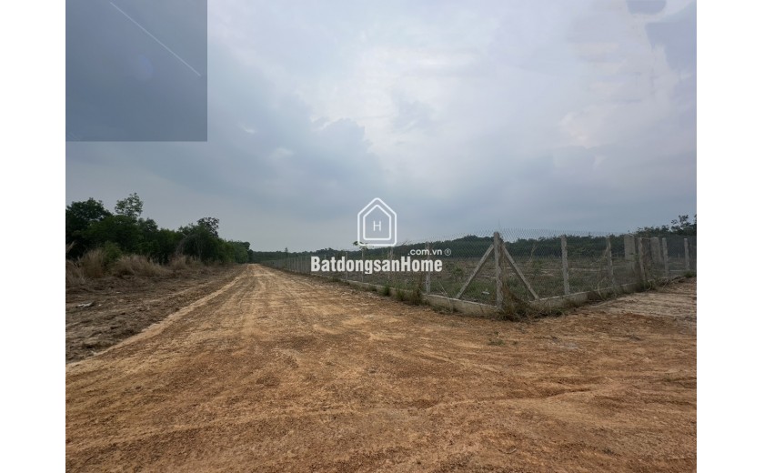 Bán 23.000m2 đất 3 mặt tiền đường đất xã Minh hòa, Dầu tiếng, Bình Dương