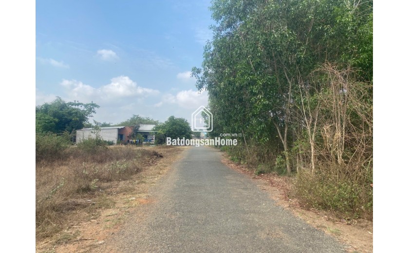 Bán lô đất đẹp 2978m2 (1300m2 thổ) xã Láng dài, Đất đỏ, Bà rịa