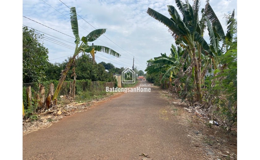 Bán lô đất đẹp 2978m2 (1300m2 thổ) xã Láng dài, Đất đỏ, Bà rịa