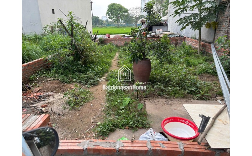 BÁN ĐẤT ĐẸP - PHÚC THỌ MAI LÂM ĐÔNG ANH DT 50m² - CHỈ 119TR/1M2 .MẶT BÌA LÀNG Ô TÔ NGỦ TRONG ĐẤT