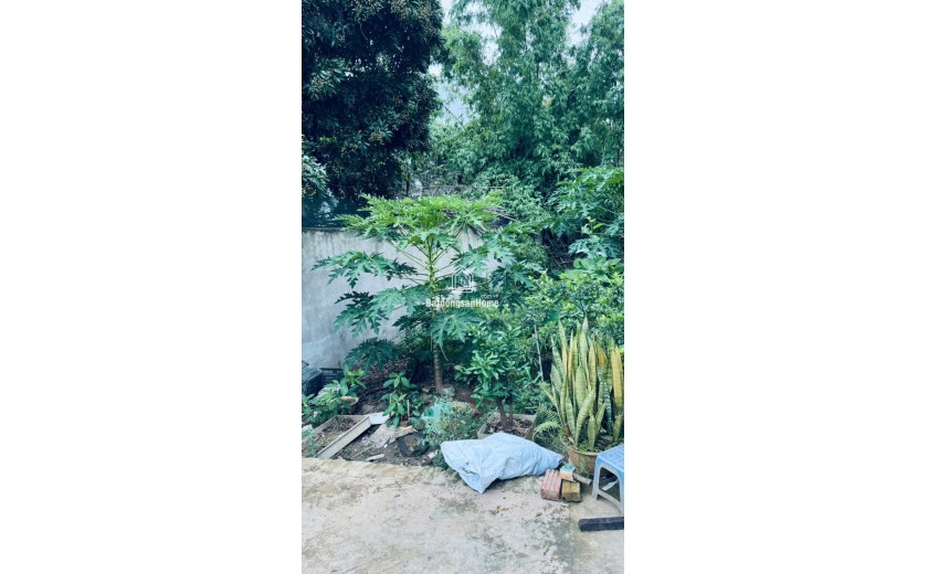 BÁN GẤP 48M2 THÁI BÌNH - MAI LÂM GIÁ CHỈ 3.2 TỶ NGÕ Ô TÔ , CÁCH 10M RA ĐƯỜNG 3 Ô TÔ TÁNH
