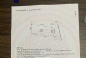 100M TRỤC XÃ PHÚ NGHĨA CHƯƠNG MỸ HÀ NỘI