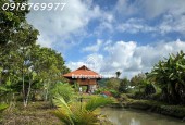 Chỉ với 3,9tỷ có 10.000m2 đất vườn Sầu riêng thu 500tr/năm. Nhà sàn cực đẹp, view VIP.