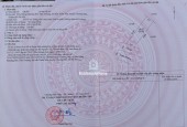 103m đấu giá khoang bèo xuân  mai