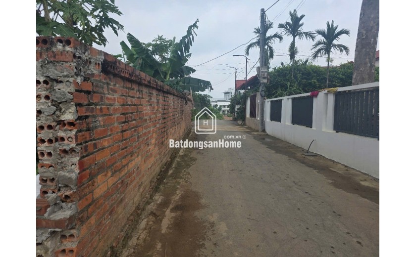 Bán đất Phú Cát, Quốc Oai 107m² – Gần Nhà máy in tiền – Giá chỉ từ 4x triệu/m²!