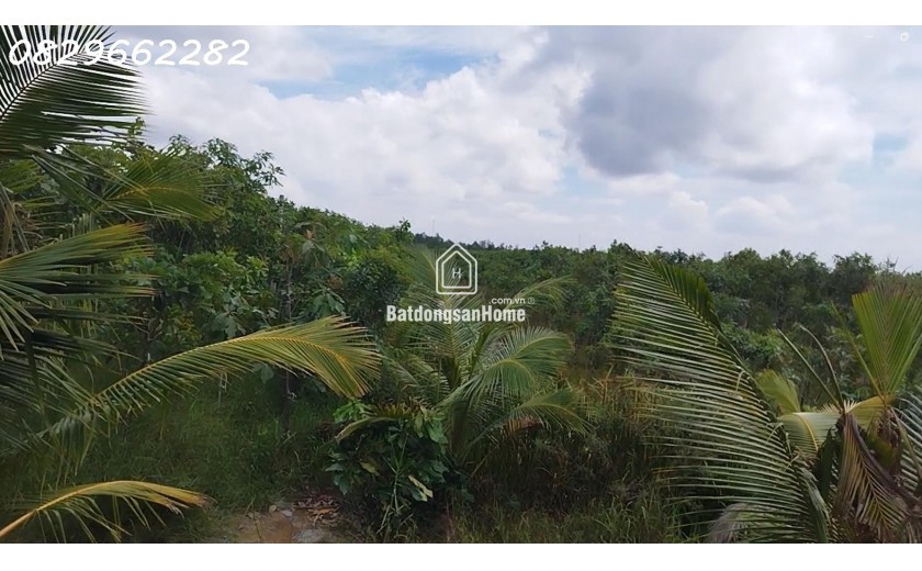Bán Đất Vườn Cây Ăn Trái, Hòa Long, Đồng Tháp DT 44000m2, Giá 22 Tỷ, Sổ Hồng Chính Chủ.