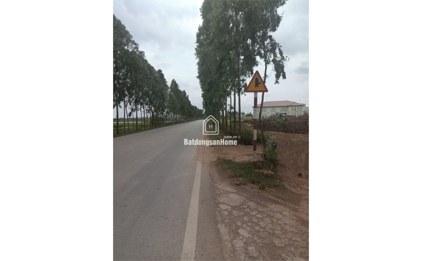 Bán 4ha đất kho nhà xưởng 50 năm tại Huyện Ninh Giang, Tỉnh Hải Dương