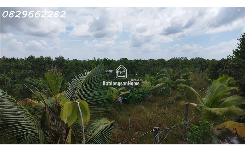 Bán Đất Vườn Cây Ăn Trái, Hòa Long, Đồng Tháp DT 44000m2, Giá 22 Tỷ, Sổ Hồng Chính Chủ.
