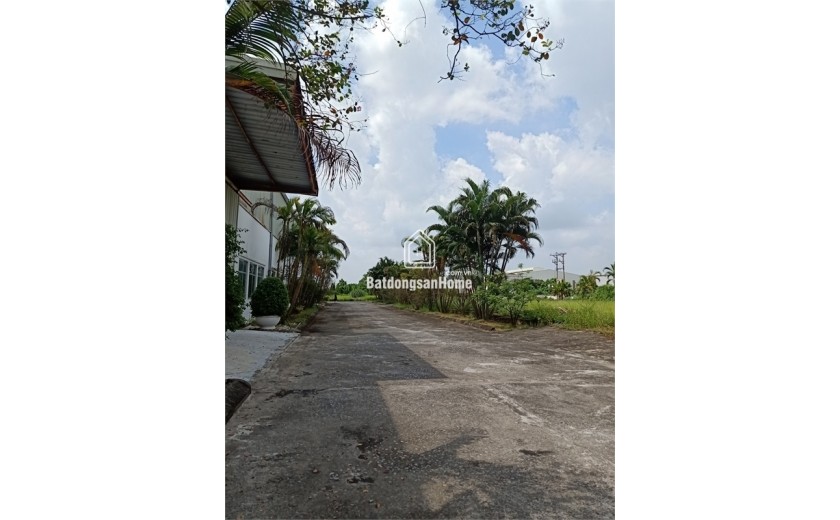 Bán 2,8ha đất kho nhà xưởng 50 năm tại mặt đường 5 Lai Cách, Cẩm Giàng, Tỉnh Hải Dương