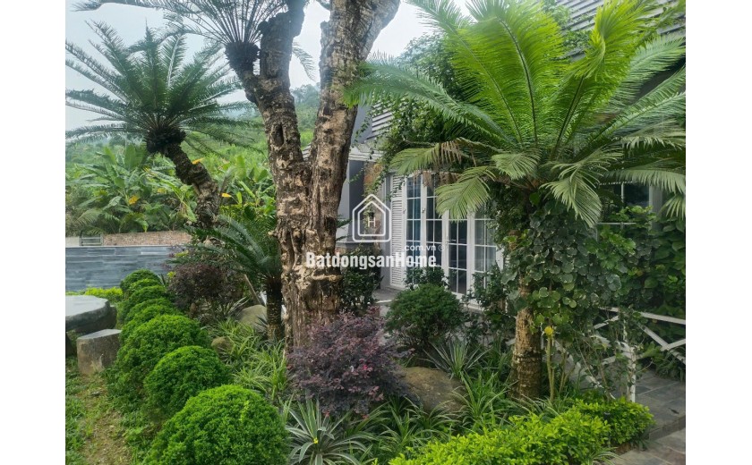 Bán biệt thự nhà vườn nghỉ dưỡng tại Phú Mãn, view suối đẹp - 516m2 - giá chỉ 8.5 tỷ