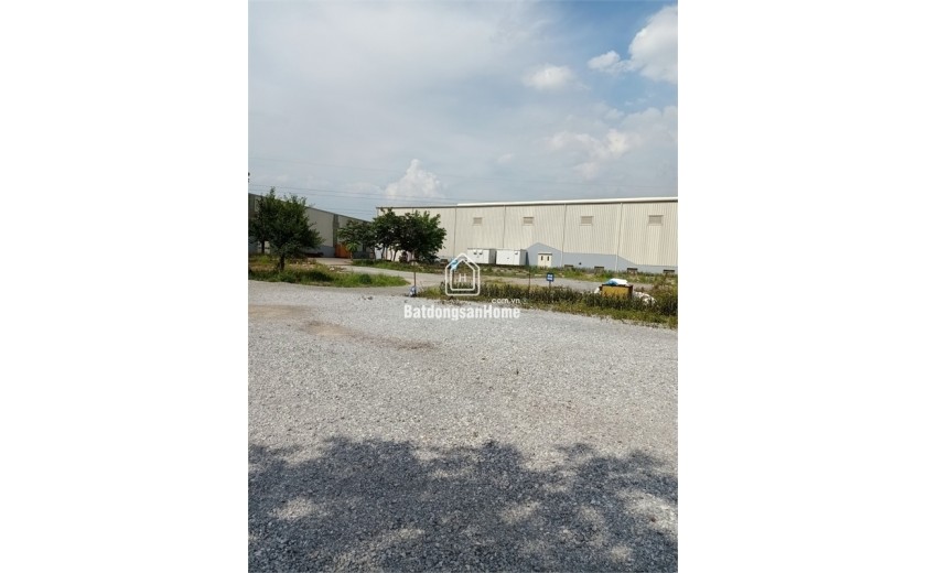 Bán 2,8ha đất kho nhà xưởng 50 năm tại mặt đường 5 Lai Cách, Cẩm Giàng, Tỉnh Hải Dương