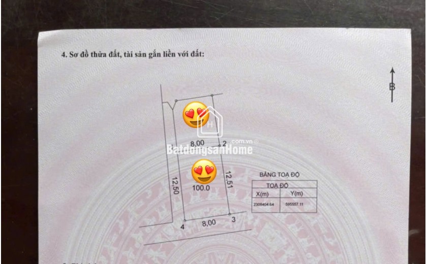 Bán Siêu Phẩm 100m2 Lô Góc 2 Mặt Tiền Xóm 1 Tự Nhiên_Thường Tín giá chỉ hơn 30tr/m2