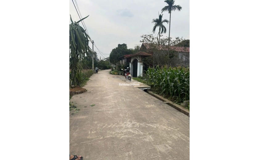 Bán đất Chương lộc - chương dương - hà nội.