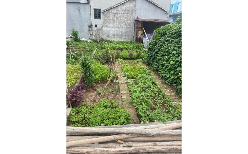 NSiêu Hiếm Đất Phạm Hồng Thái - Hà Hồi - Thường Tín - HN