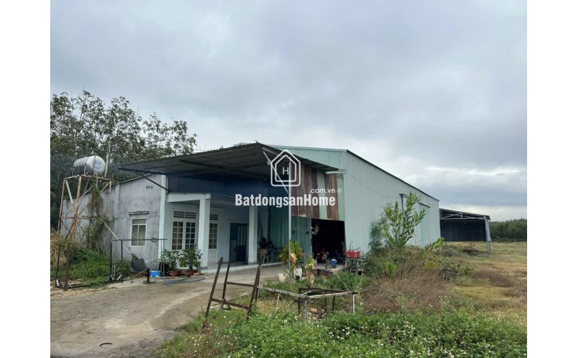 BÁN GẤP! SIÊU PHẨM 4.420,8M² (559m² TC + XƯỞNG), MT 10M NHỰA, Chỉ 5.3 Tỷ, XÃ Tân Bình, TÂY NINH.