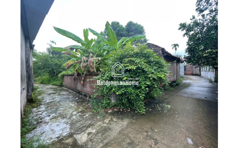 CHỈ NHỈNH 900 TRIỆU – ĐẤT ĐẸP PHÚC THỌ – SỔ SẴN SANG TÊN NGAY
