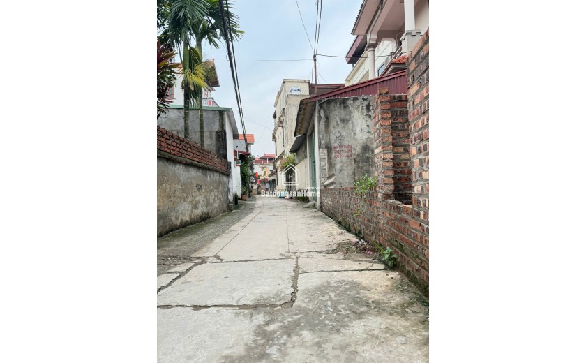 Đất thổ cư Mai Lâm – 45m² – Gần Vinhomes Cổ Loa – Hàng hiếm trong tầm giá