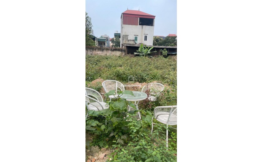 Lô đất 299m² – Mặt tiền 14m – Trục chính Du Nội, Đông Anh – Giá hơn 30 tỷ